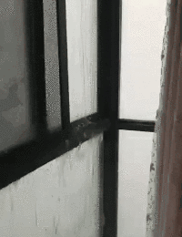 微信圖片_20210630182051.gif